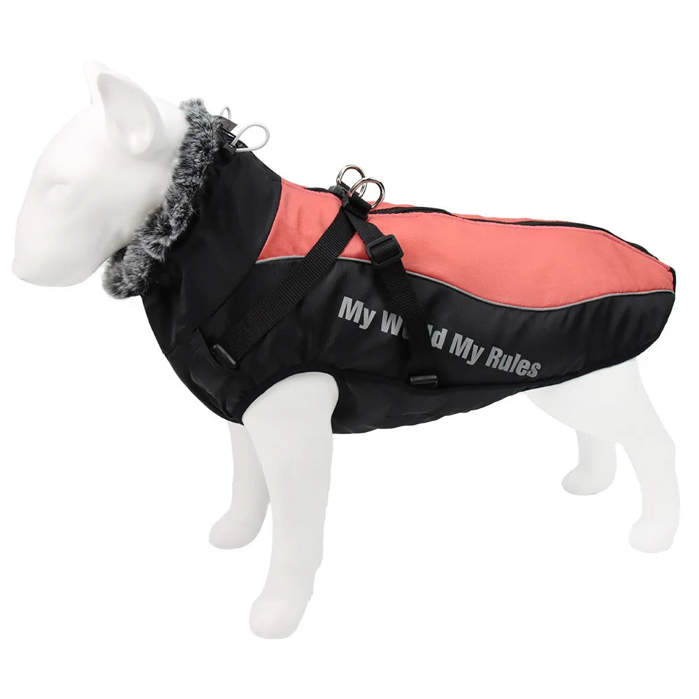 Winter Dog Coat & Harness Vest | Medium & Large Dogs | French Bulldog