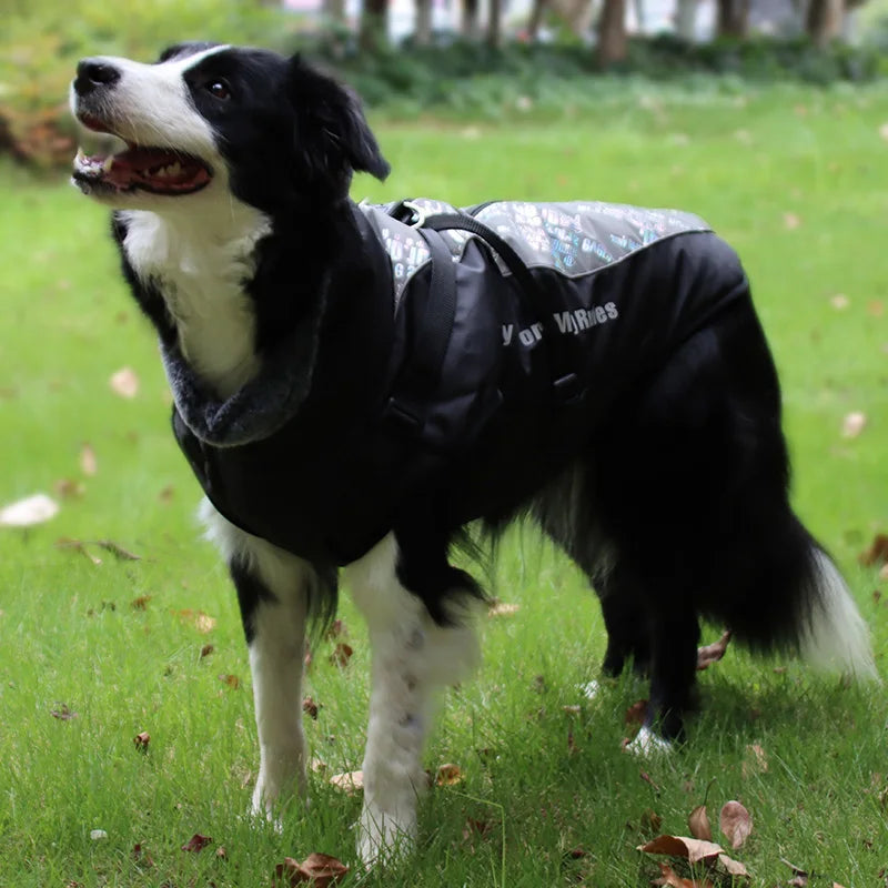 Winter Dog Coat & Harness Vest | Medium & Large Dogs | French Bulldog