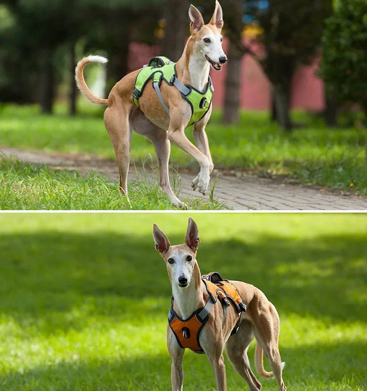Breathable Reflective No-Pull Dog Harness Vest | S–XL | Outdoor Training & Running