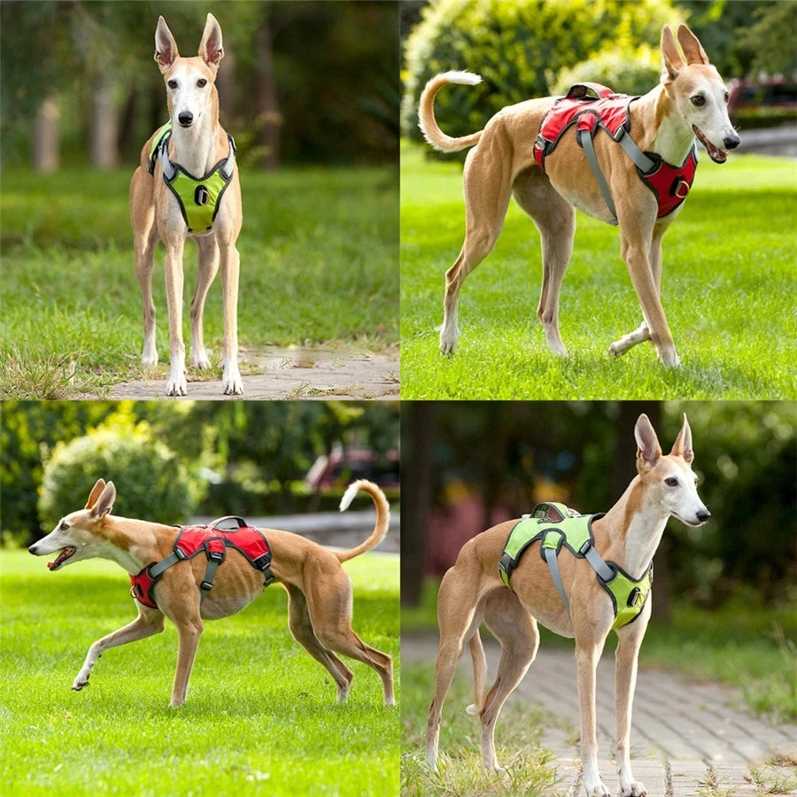Breathable Reflective No-Pull Dog Harness Vest | S–XL | Outdoor Training & Running