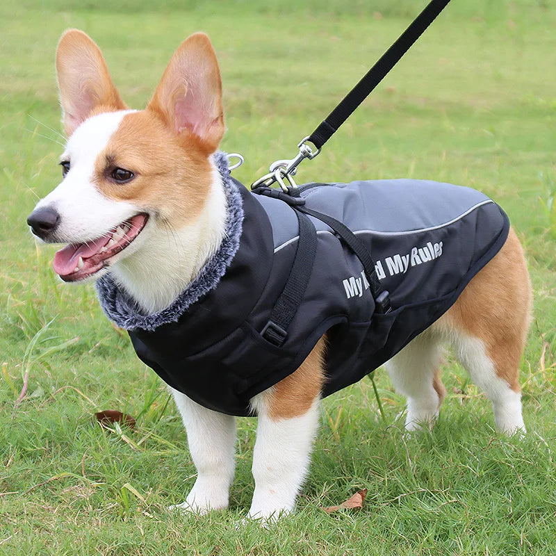 Winter Dog Coat & Harness Vest | Medium & Large Dogs | French Bulldog