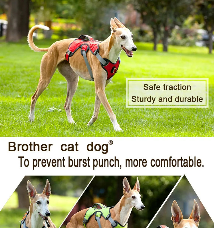 Breathable Reflective No-Pull Dog Harness Vest | S–XL | Outdoor Training & Running