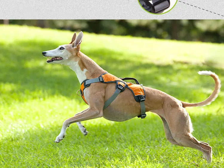 Breathable Reflective No-Pull Dog Harness Vest | S–XL | Outdoor Training & Running