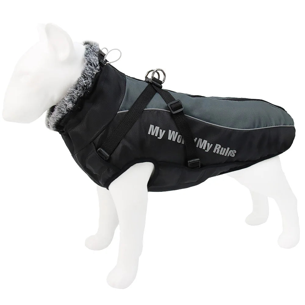 Winter Dog Coat & Harness Vest | Medium & Large Dogs | French Bulldog