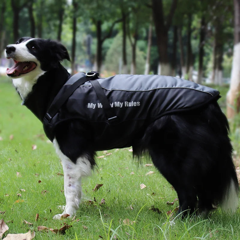 Winter Dog Coat & Harness Vest | Medium & Large Dogs | French Bulldog