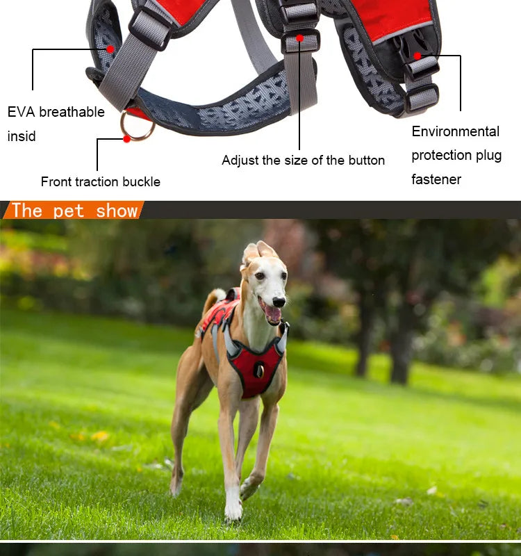 Breathable Reflective No-Pull Dog Harness Vest | S–XL | Outdoor Training & Running