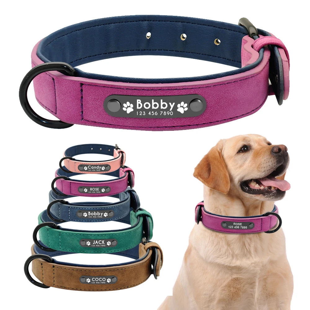 Personalised Leather Dog Collar | Custom ID Padded Pet Collar | S–XXL All Breeds