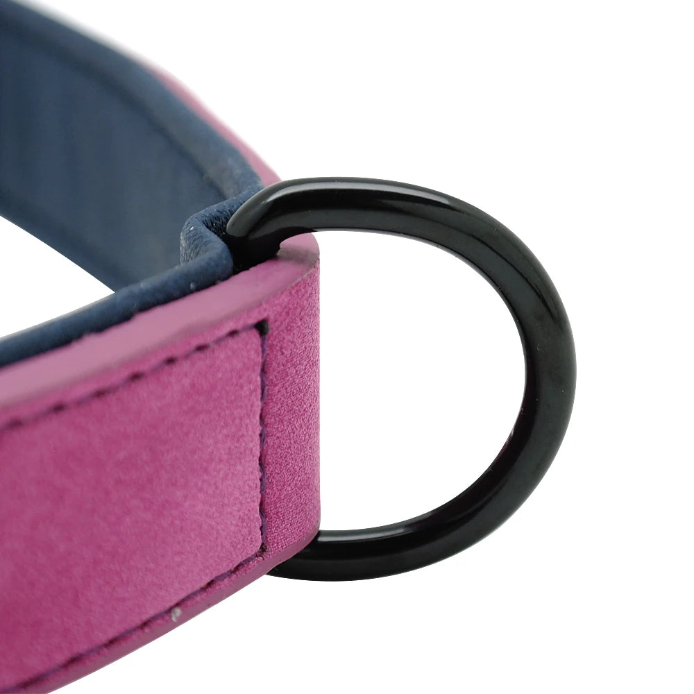 Personalised Leather Dog Collar | Custom ID Padded Pet Collar | S–XXL All Breeds