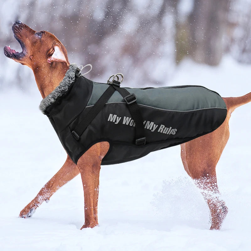 Winter Dog Coat & Harness Vest | Medium & Large Dogs | French Bulldog