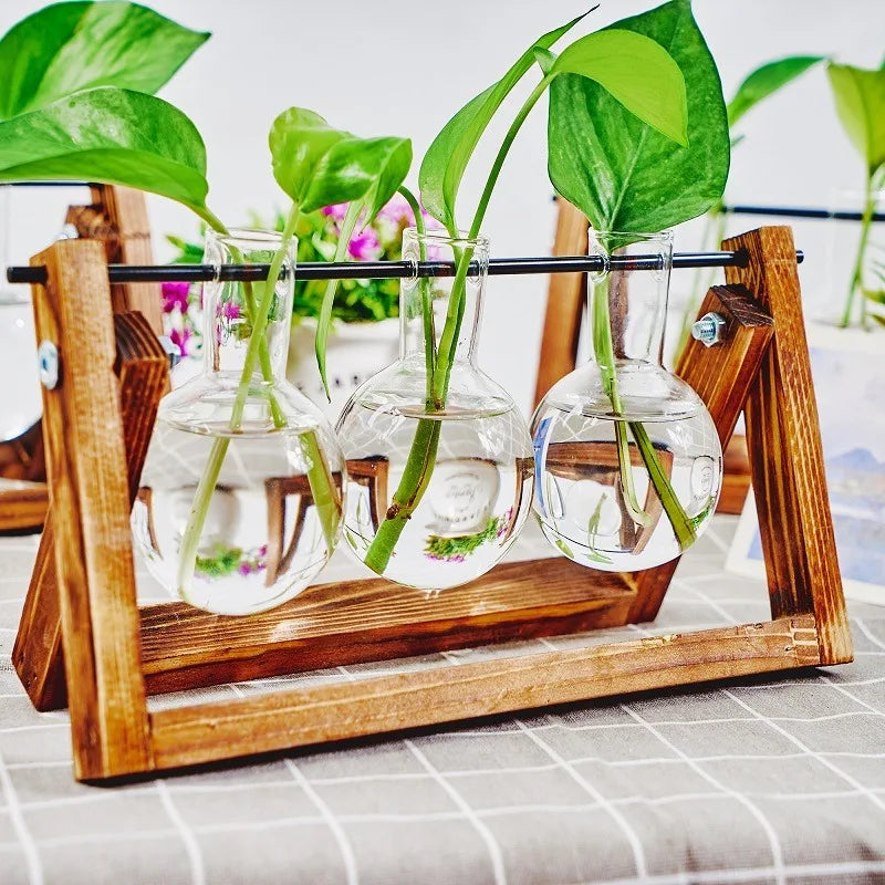 Glass Propagation Station | Hydroponic Plant Vases in Wooden Rack | HotTrendyPicks