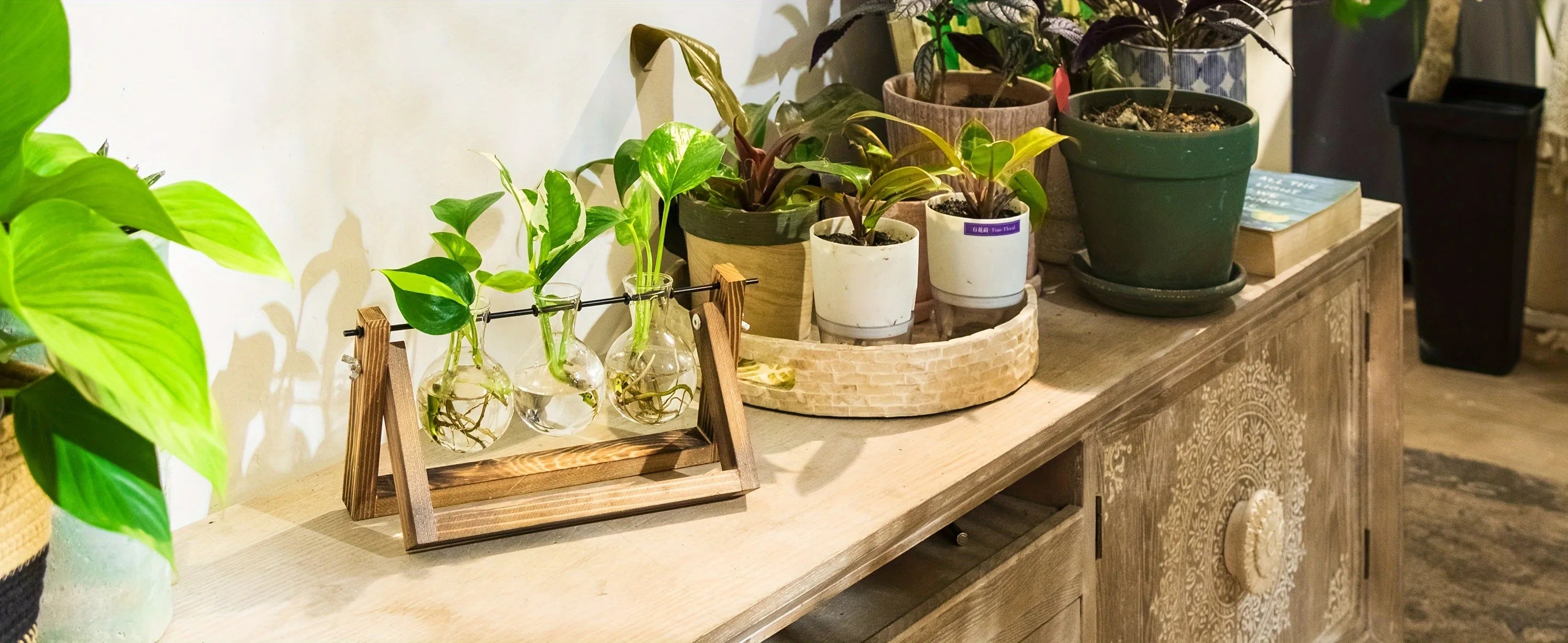 Glass Propagation Station | Hydroponic Plant Vases in Wooden Rack | HotTrendyPicks