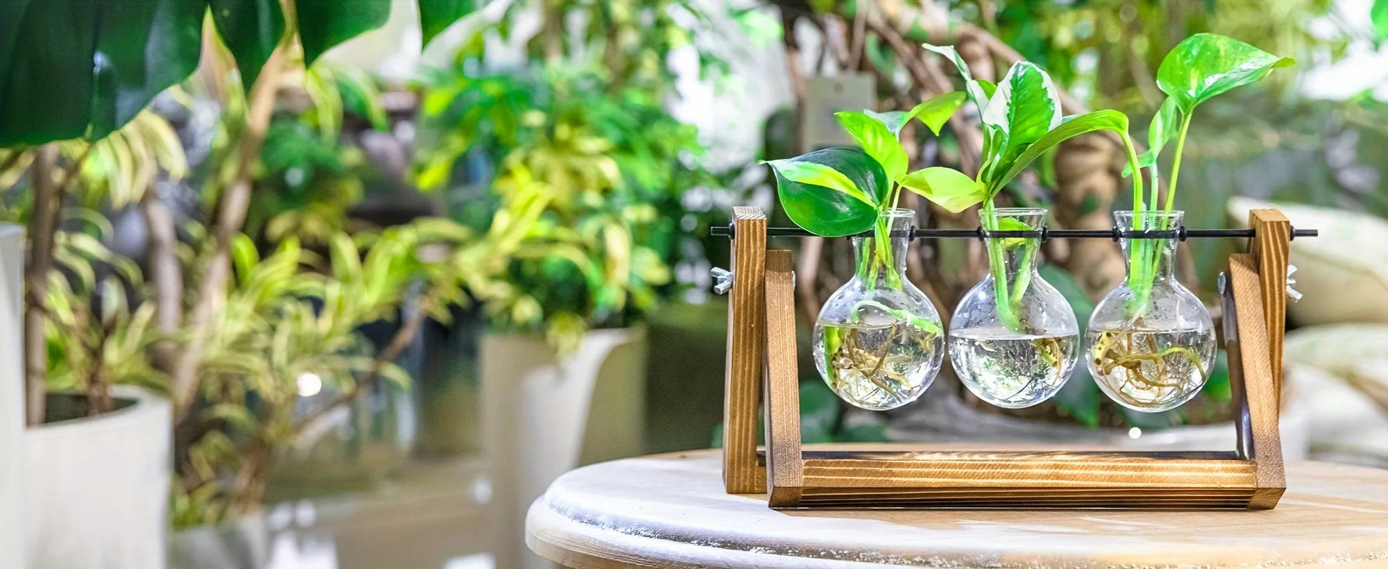 Glass Propagation Station | Hydroponic Plant Vases in Wooden Rack | HotTrendyPicks