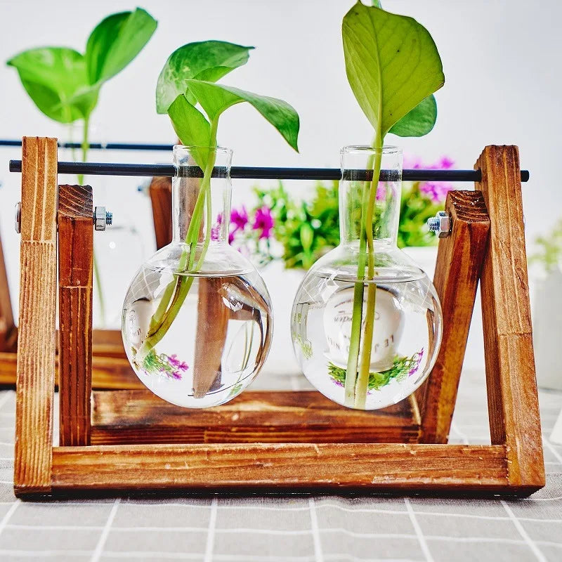 Glass Propagation Station | Hydroponic Plant Vases in Wooden Rack | HotTrendyPicks