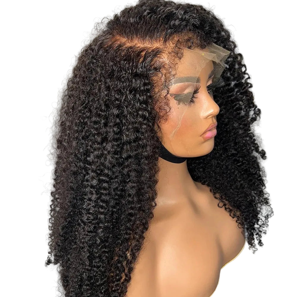 Brazilian 4C Blend Edges Afro Kinky Curly 360 Full Lace Wig 100% Human Hair 13x4 Lace Frontal Wigs Human Hair Bye-Bye Knots 250%