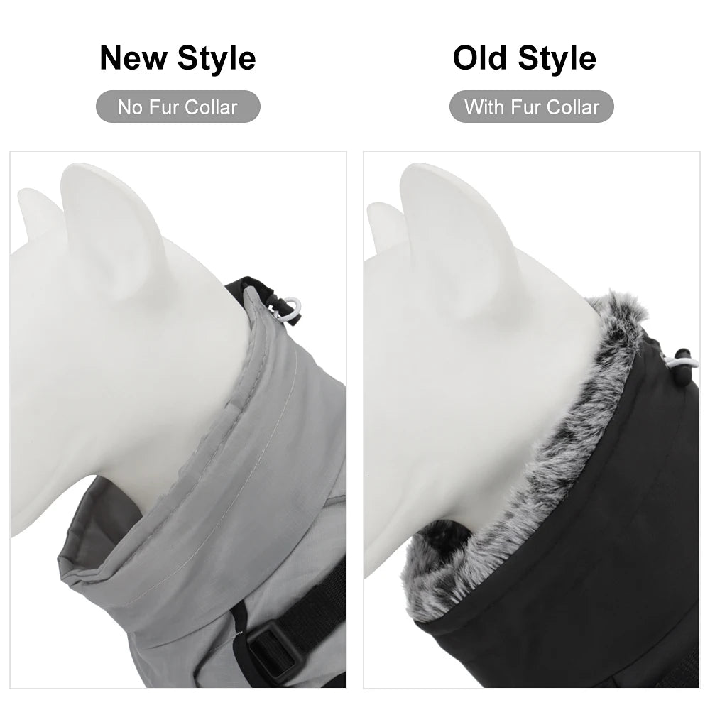 Winter Dog Coat & Harness Vest | Medium & Large Dogs | French Bulldog