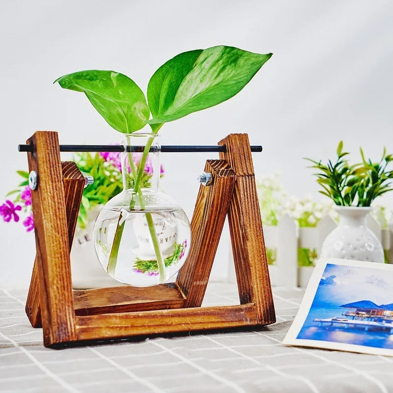 Glass Propagation Station | Hydroponic Plant Vases in Wooden Rack | HotTrendyPicks