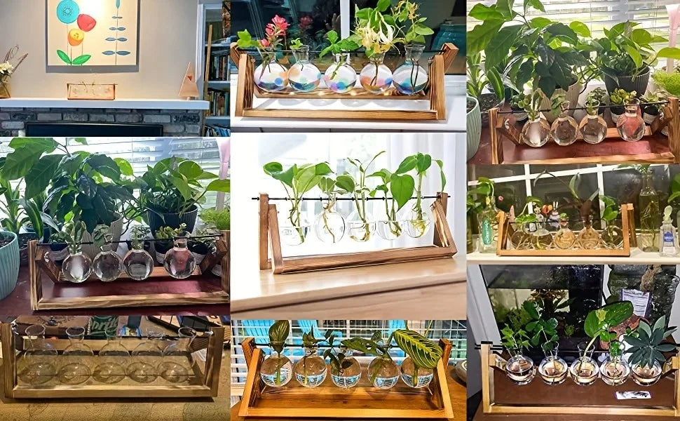 Glass Propagation Station | Hydroponic Plant Vases in Wooden Rack | HotTrendyPicks