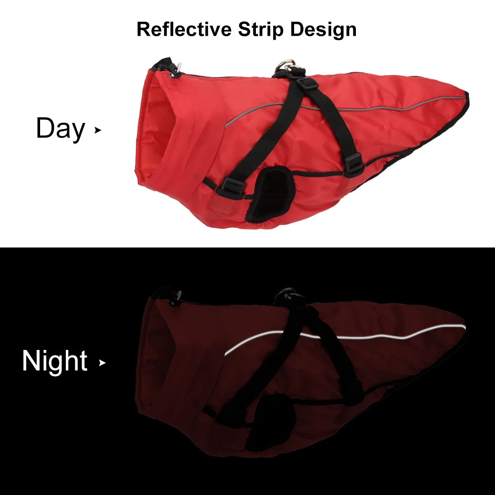Winter Dog Coat & Harness Vest | Medium & Large Dogs | French Bulldog